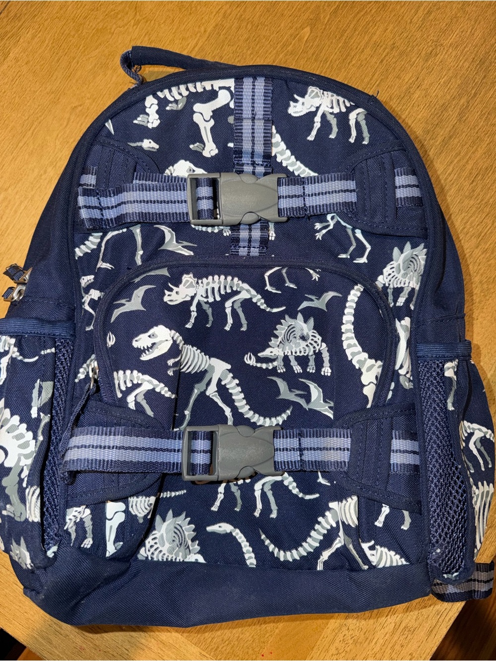 Kids Navy Dinosaur bones Backpack